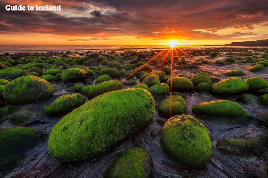 Moss covered rocks sit in the light of the Midnight Sun.