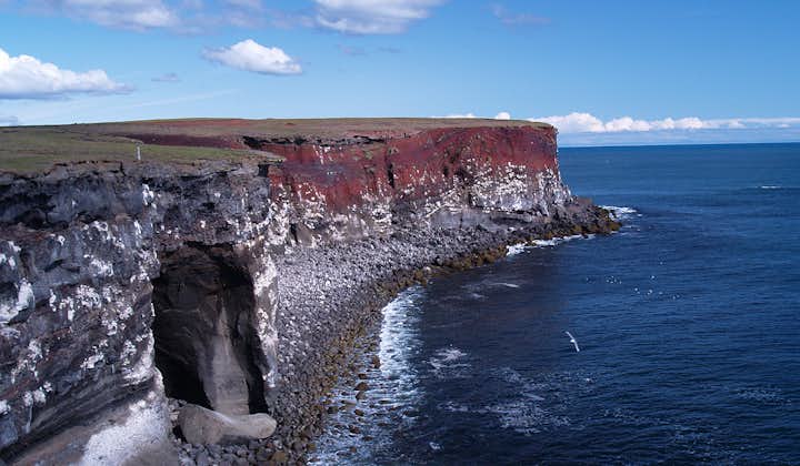 Krýsuvíkurberg is one of Iceland’s best-known bird-watching cliffs.