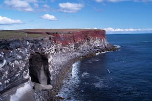 Krýsuvíkurberg is one of Iceland’s best-known bird-watching cliffs.