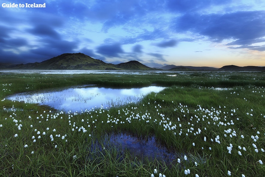 冰岛野外美景