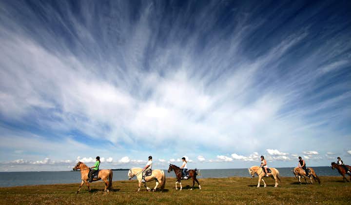 在冰岛乡间骑马，感受淳朴的冰岛乡间风光。