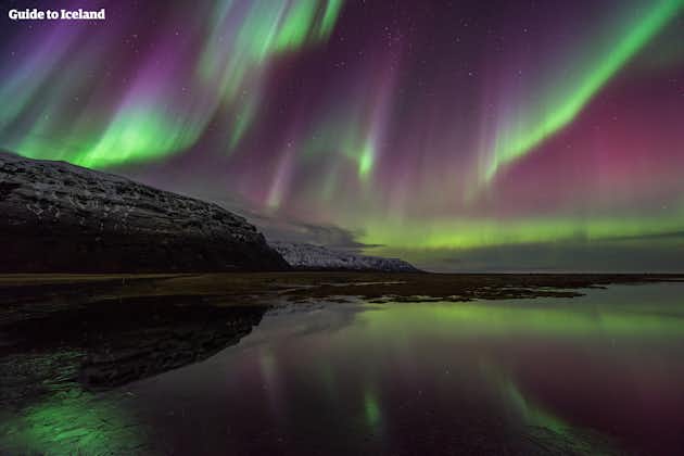 Über einem See in Island tanzen die smaragdgrünen und violetten Nordlichter am Nachthimmel.