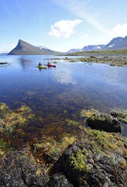 Hornstrandir Nature Reserve is not only the remotest part of the Westfjords, it is one of the remotest parts of Europe.