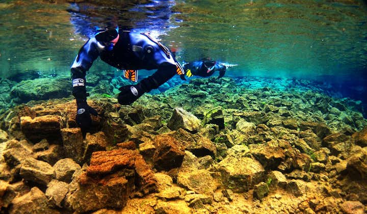 A guest snorkelling through the crystal clear, colourful waters of the Silfra Fissure.