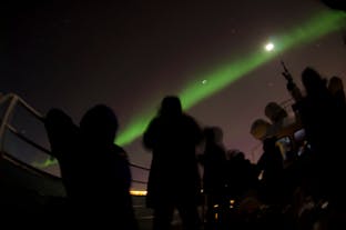 Seeing the Northern Lights by boat allows guests to totally avoid the city's light pollution.