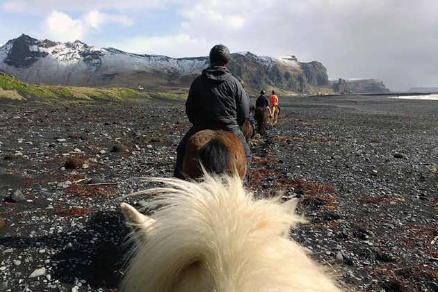 A group of horse riders exploring the black sand beaches of South Coast.