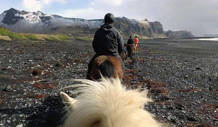 A group of horse riders exploring the black sand beaches of South Coast.
