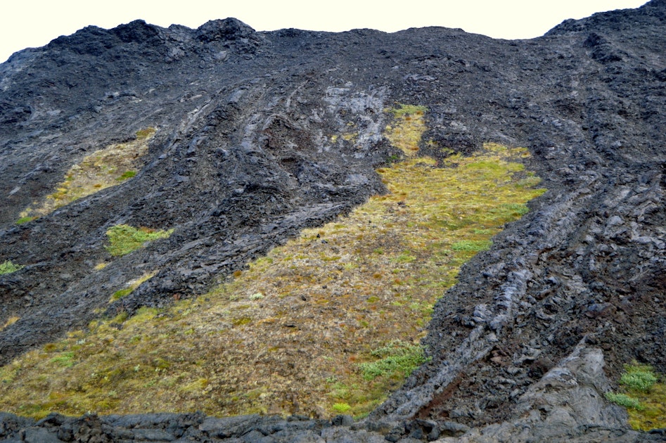 The Lava Field