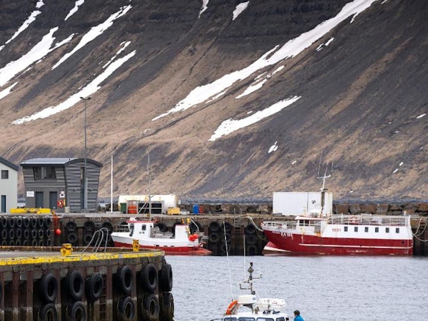 Fisherman Guesthouse Suðureyri