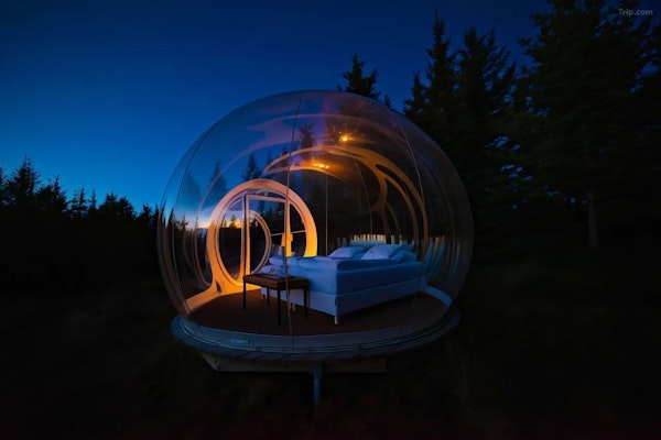 Experience nature at its finest when you stay at a bubble room at Buubble Olvisholt.