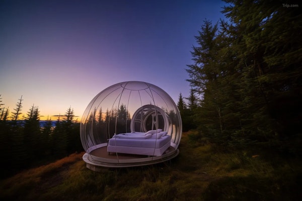 Each bubble room at Buubble Olvisholt is nestled in a serene forest near Selfoss in South Iceland.