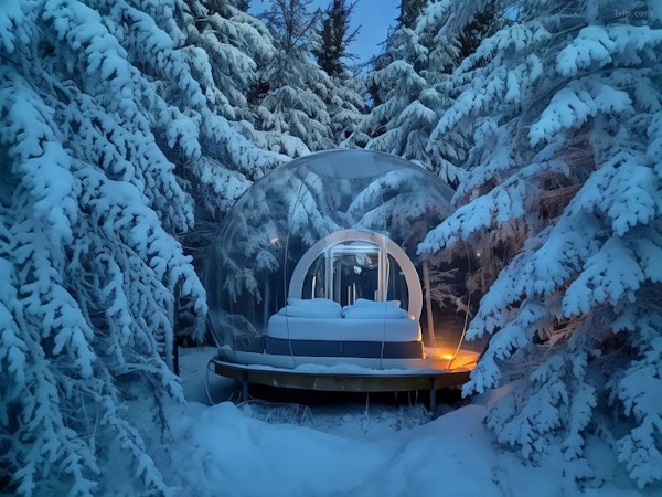 Experience warmth from inside a bubble while being surrounded at snow-covered trees during winter at Buubble Olvisholt in South 
