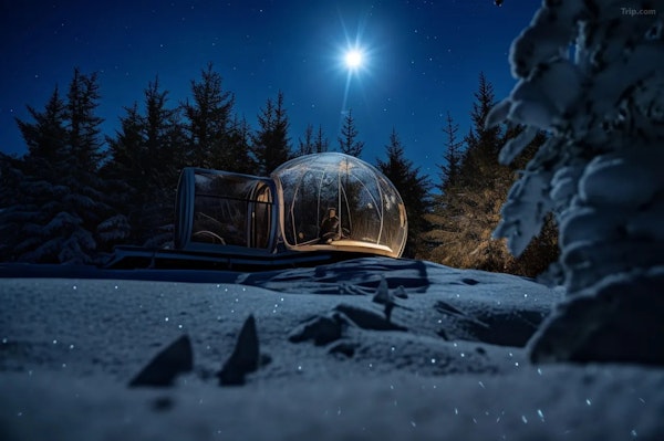 Sleep under the moon and stars in bubble rooms at Buubble Olvisholt hotel in South Iceland.