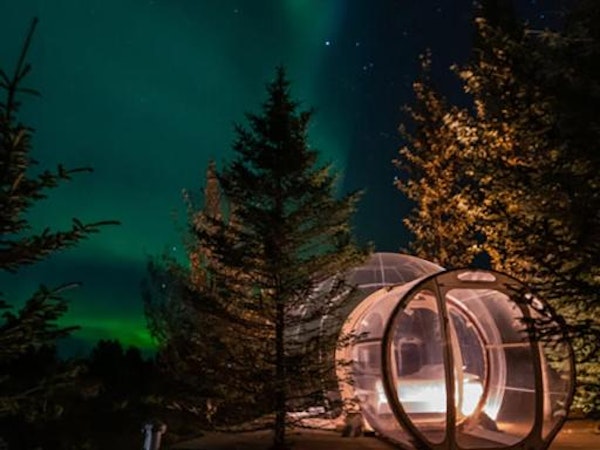 Witness the northern lights from inside a bubble at Buubble Olvisholt in Selfoss, South Iceland.