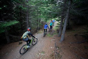 Grupa rowerzystów jedzie przez lasy Fiordów Zachodnich.