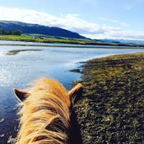 De uitzichten in Zuid-IJsland worden vanaf de rug van een IJslands paard nog mooier.