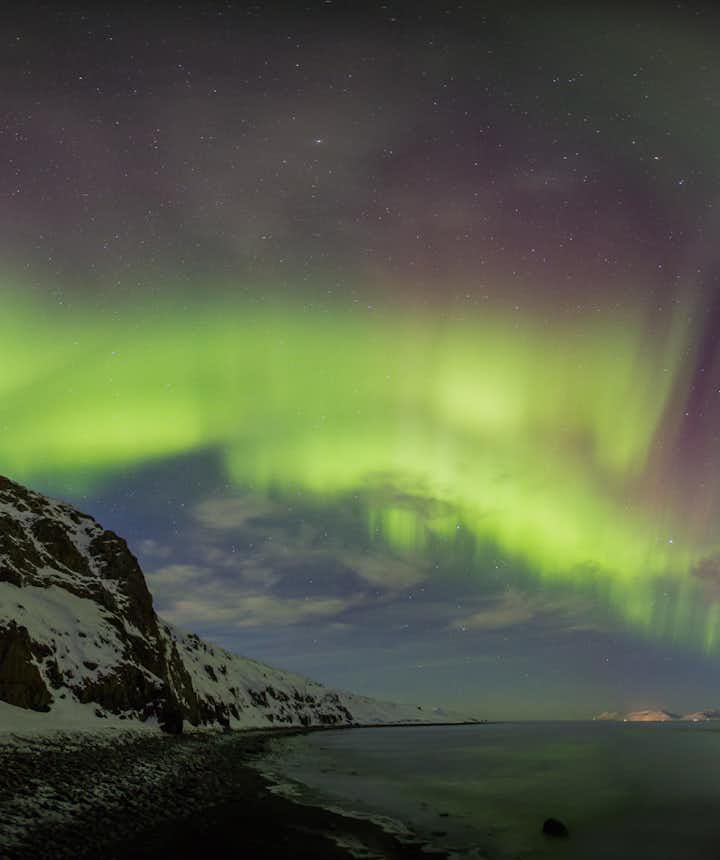 Hvítserkur sea stack with Northern Lights above