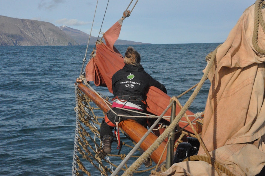 North Sailing whalewatching from Húsavík