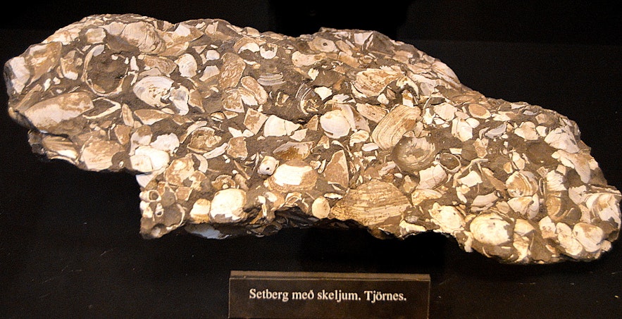 Sæheimar museum sedimentary rock