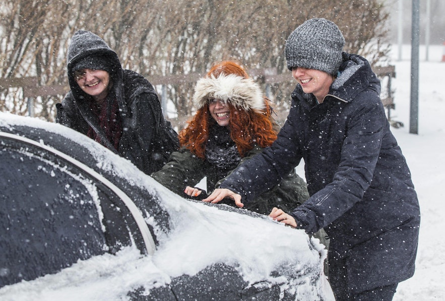 Friendly Icelandic locals in a snowstorm