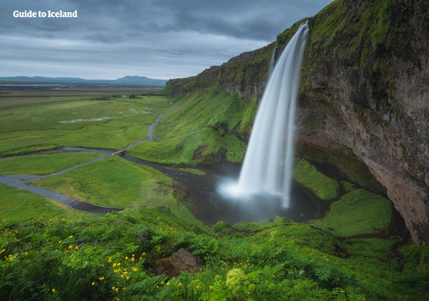 Seljalandsfoss is a pristine waterfall surrounded by lush greenery on Iceland's South Coast.