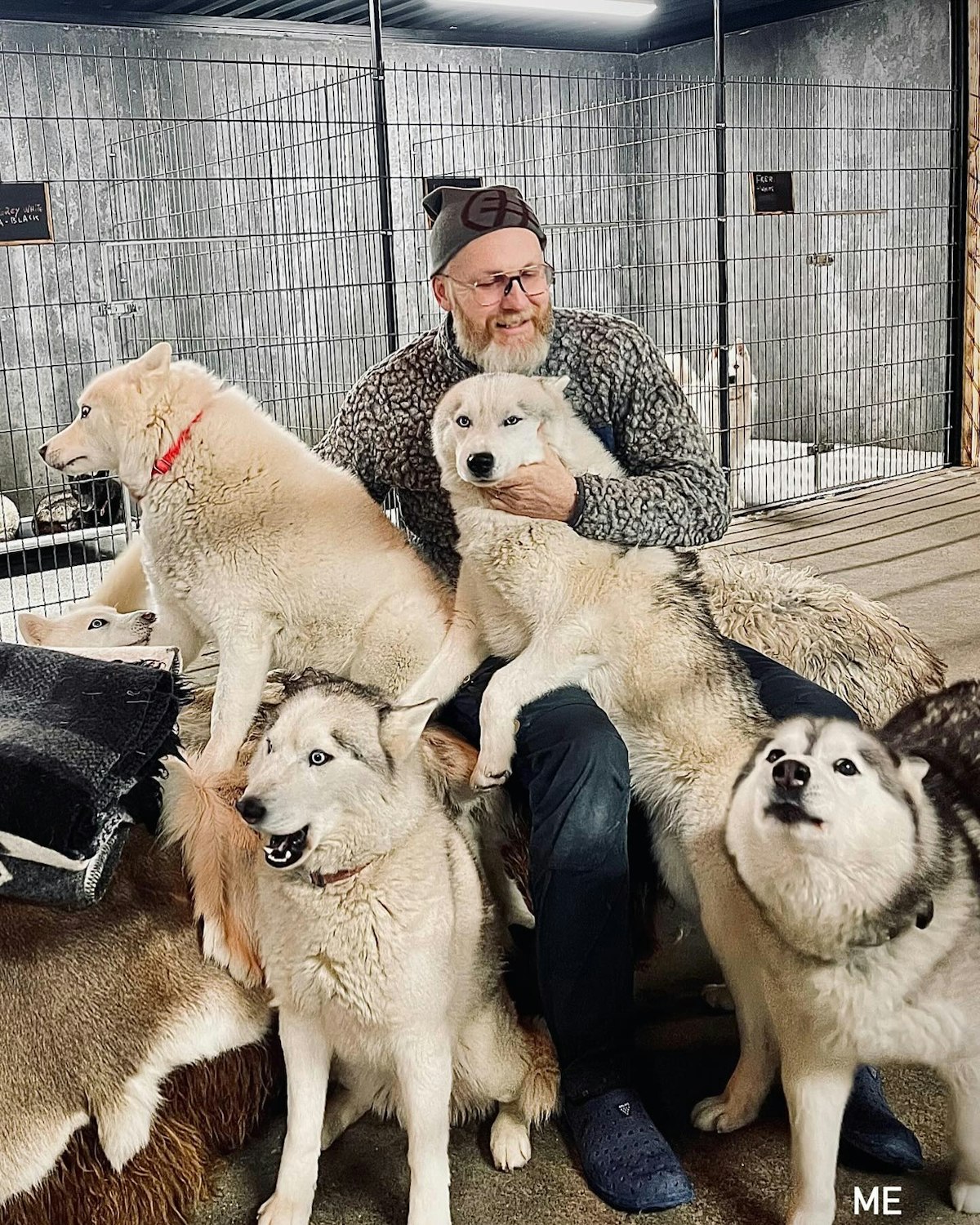 Thrilling 1-Hour Cart Racing Tour with Siberian Huskies Near Reykjavik ...