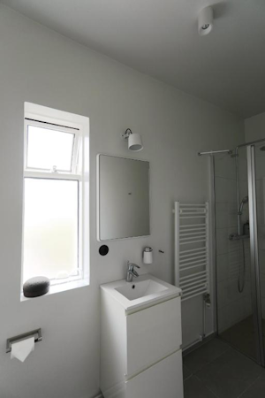 A photo of Hotel Karolina's bathroom with a sink and shower.