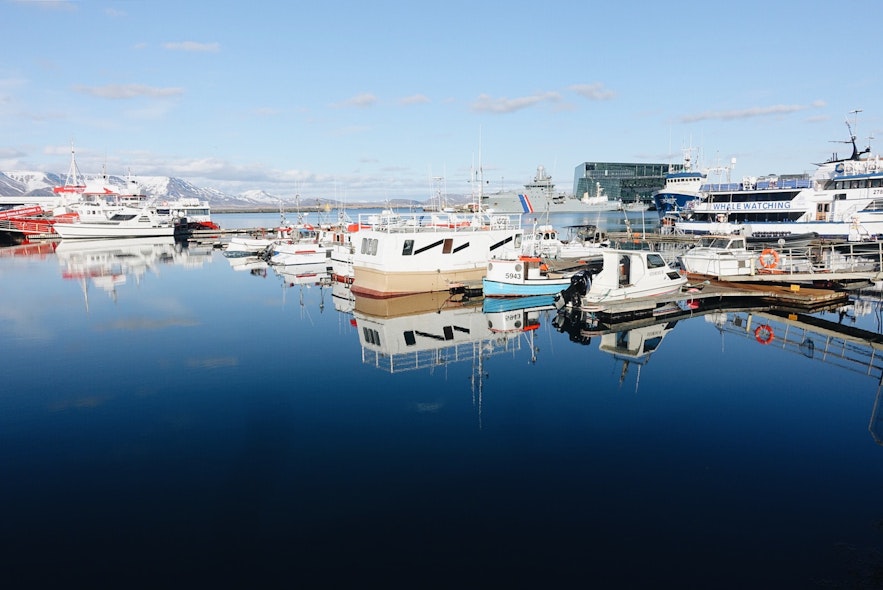 冰岛首都雷克雅未克旧港口