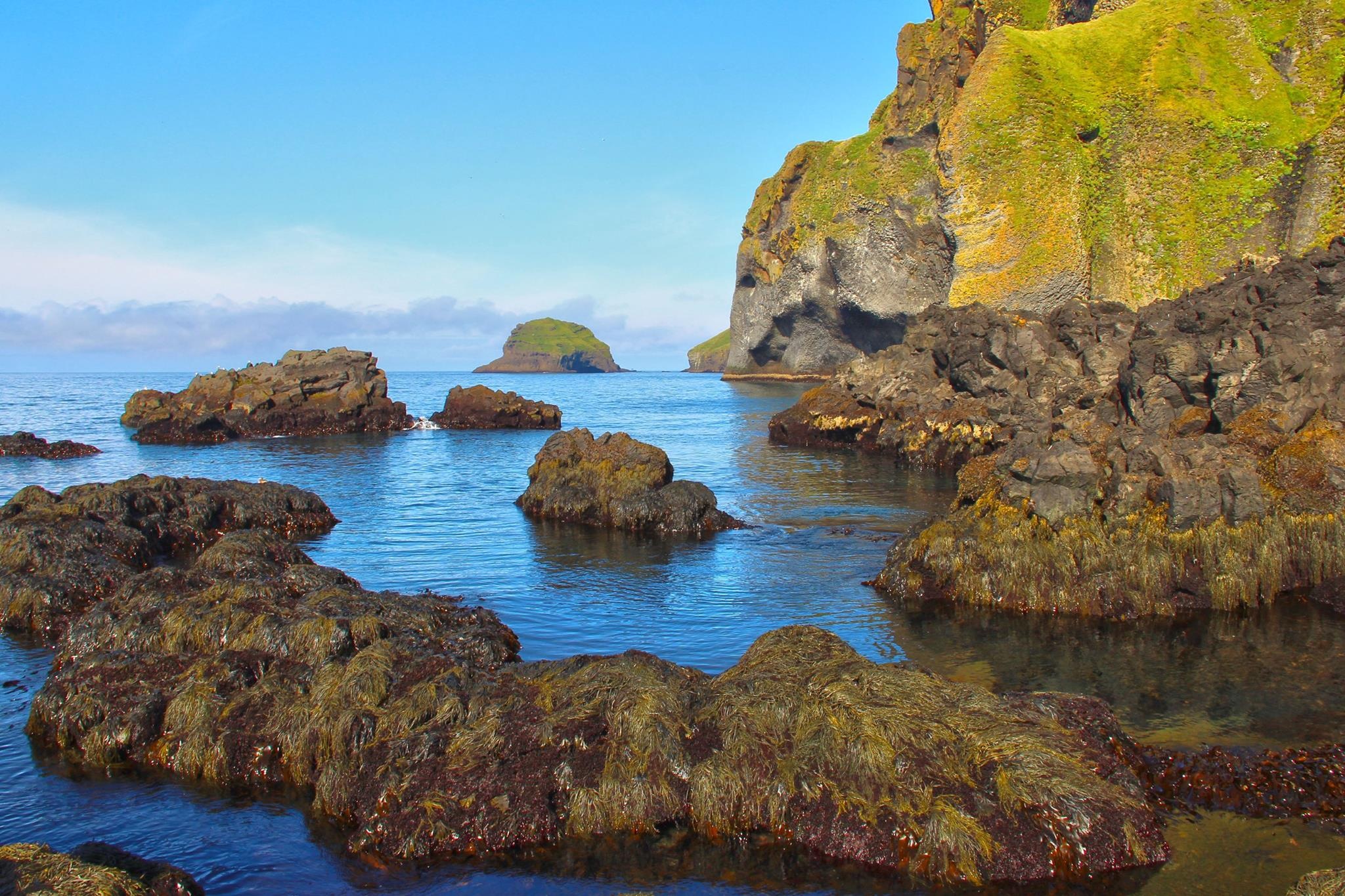 scenic 2 hour rib boat tour of the westman islands with t...
