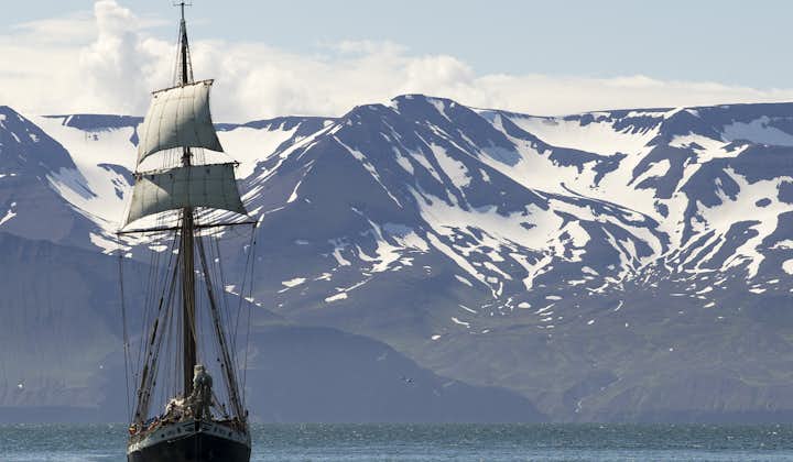 Walbeobachtung auf einem Segelschiff | ab Husavik
