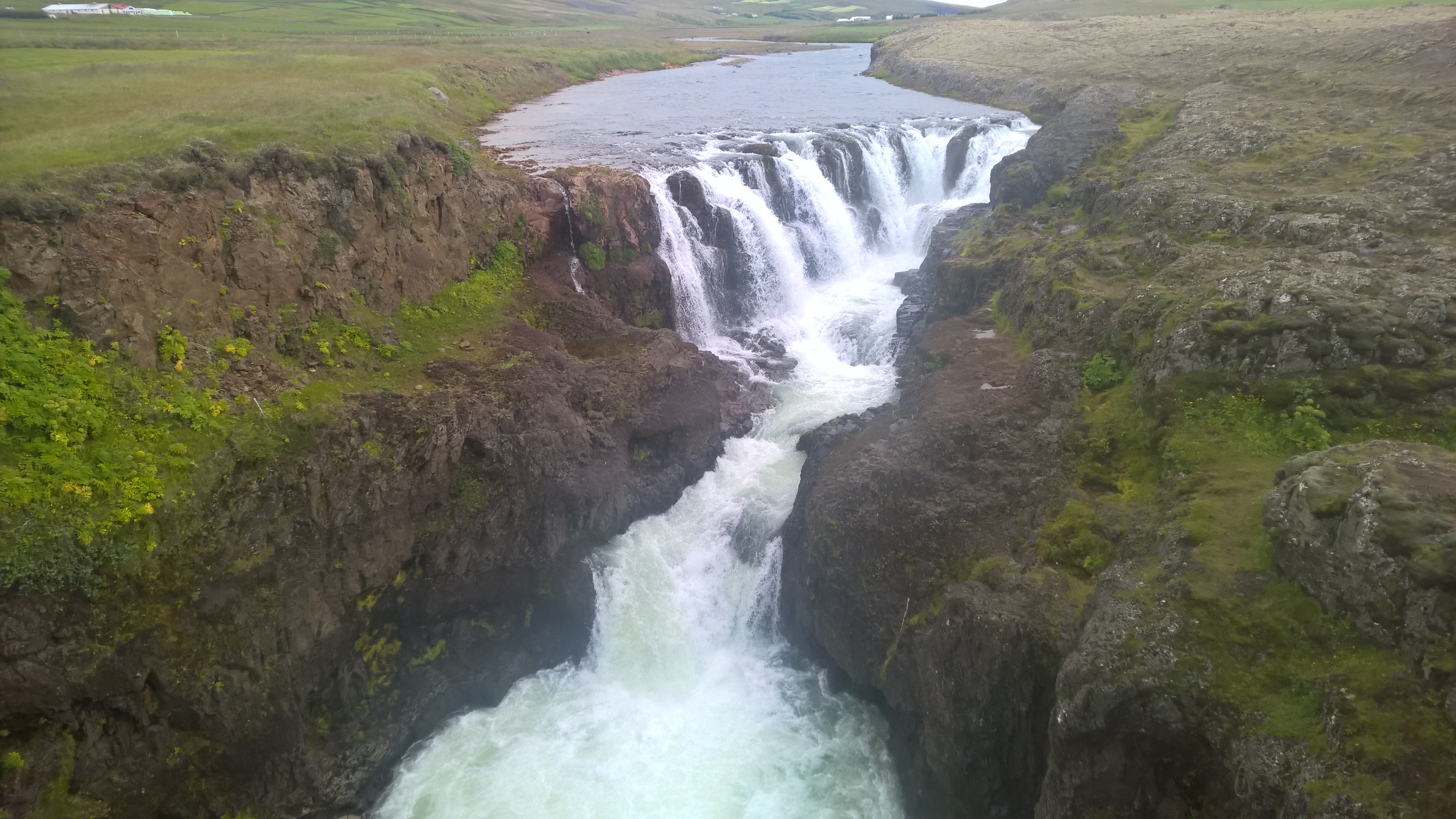 iceland private tour guide