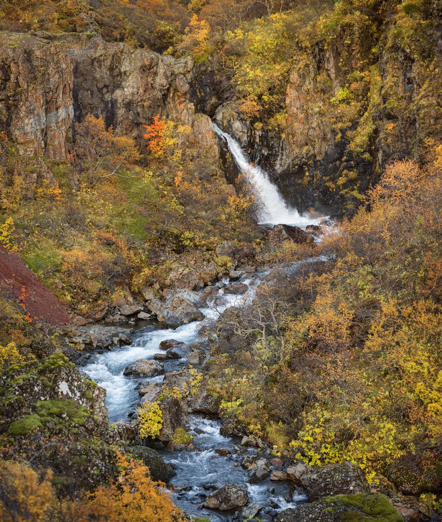 斯卡夫塔山自然保護區峽谷