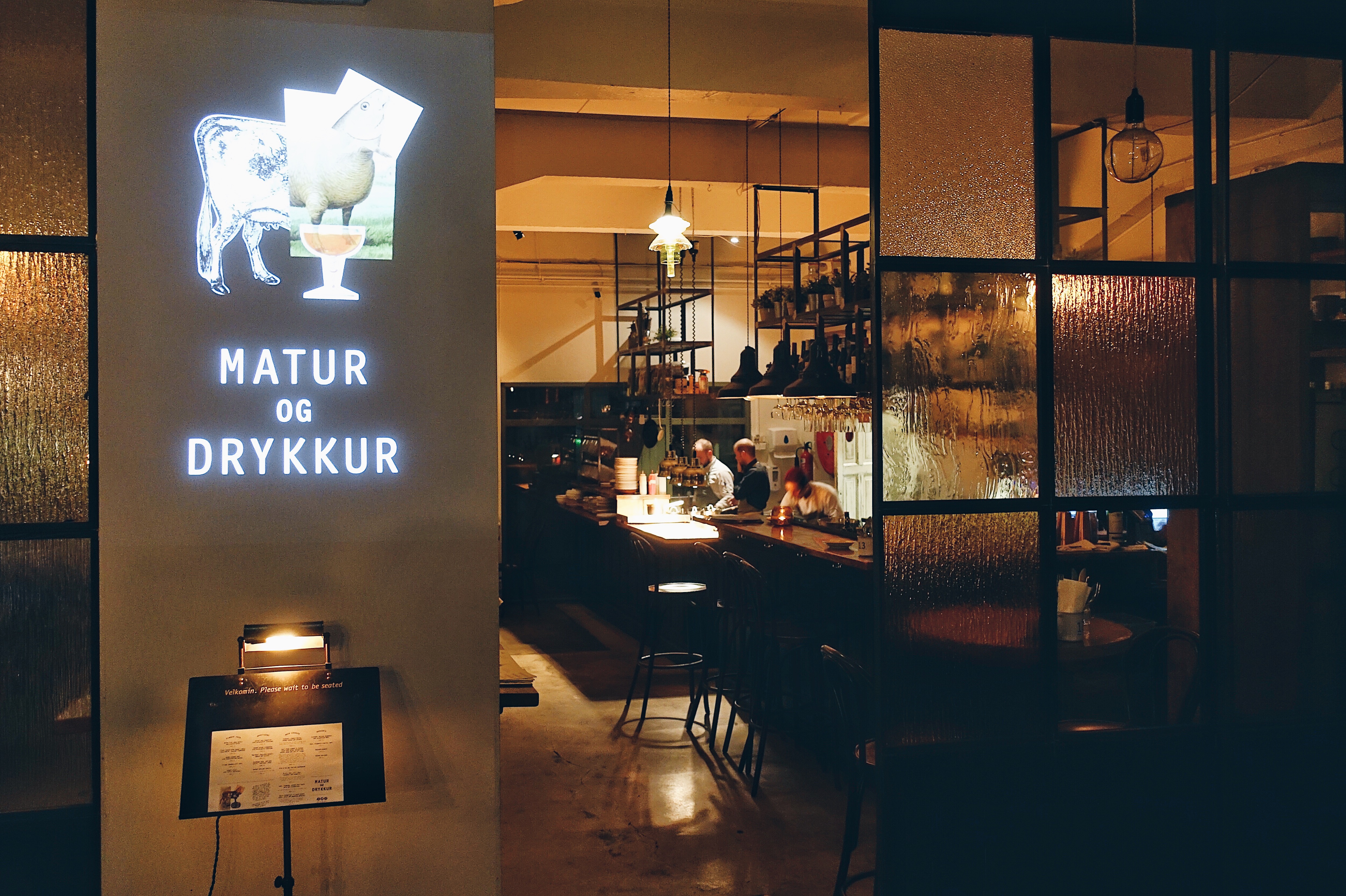 The Best Restaurants in Reykjavik | The Best Restaurants