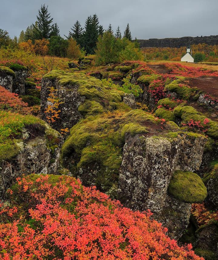 Þingvellir National Park during autumn