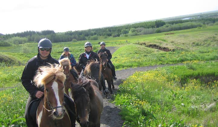 La balade à cheval en famille dans le sud de l'Islande offre une activité fun à faire dans la nature islandaise 