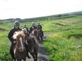 La balade à cheval en famille dans le sud de l'Islande offre une activité fun à faire dans la nature islandaise