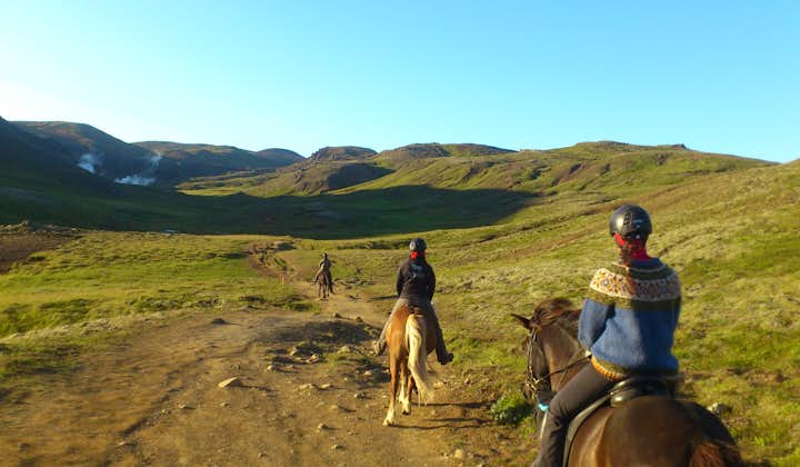 乗馬専門ガイドが案内するアイスランド南海岸のホーストレッキング体験