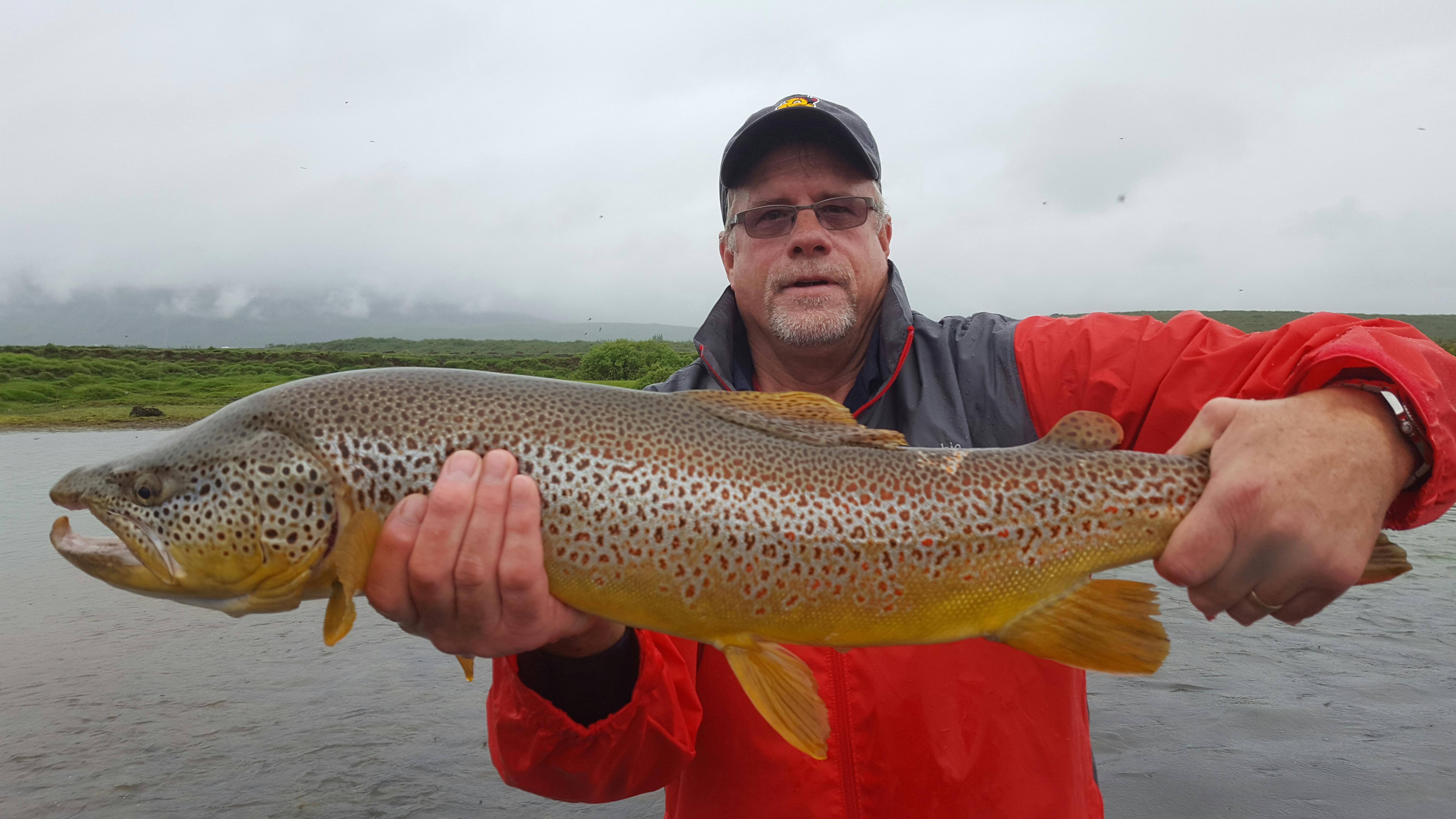 在冰島的河流中蘊藏了多種魚類