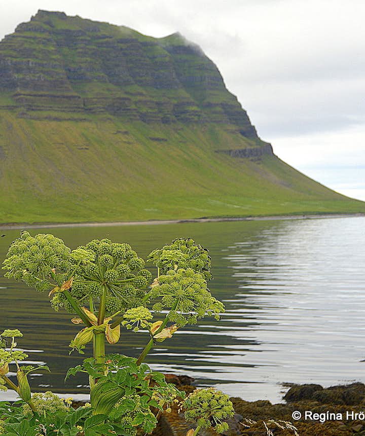 Kirkjufell mountain in Grundarfjörður on Snæfellsnes peninsula, west Iceland