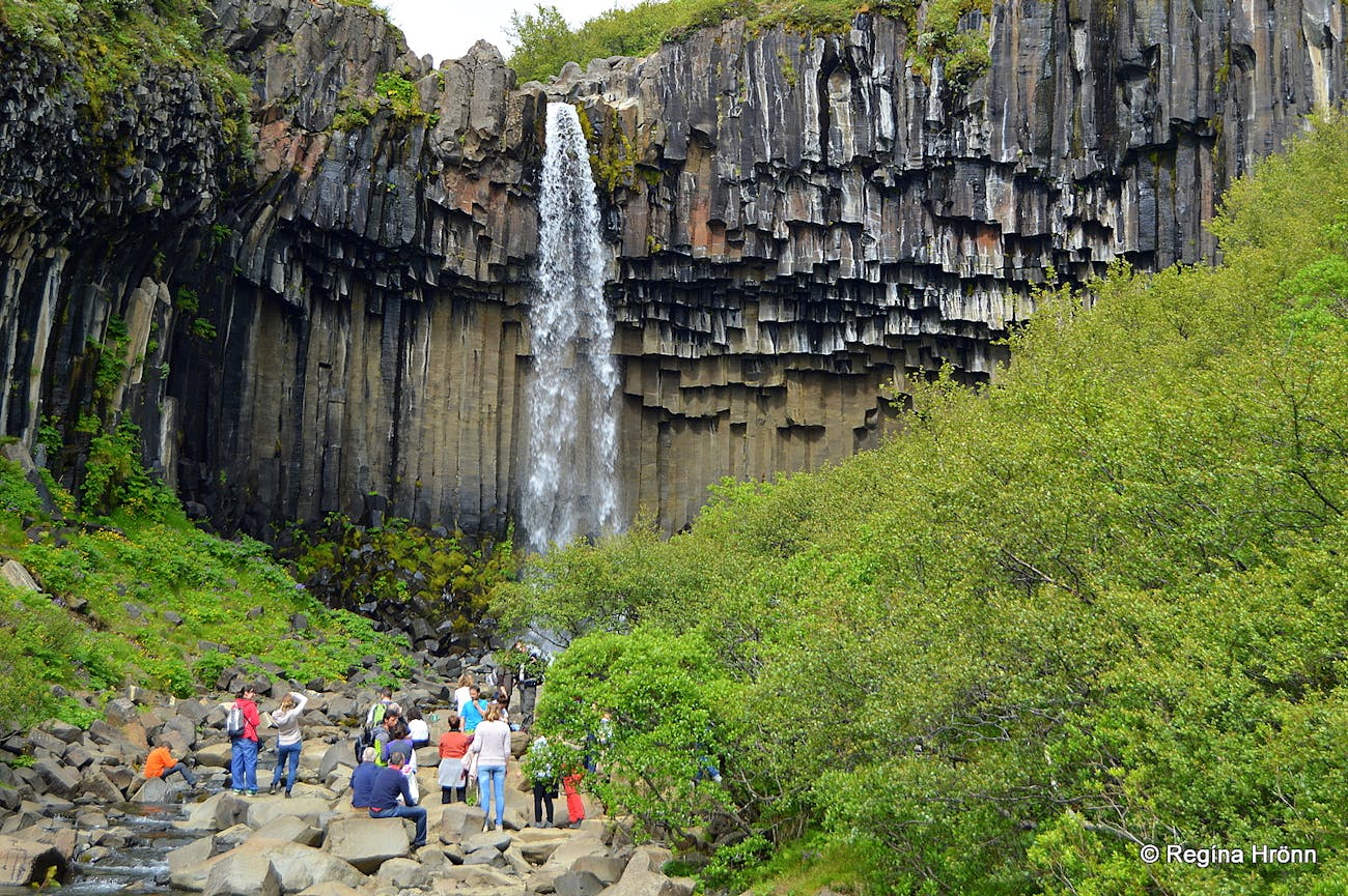 Image result for Svartifoss waterfall"