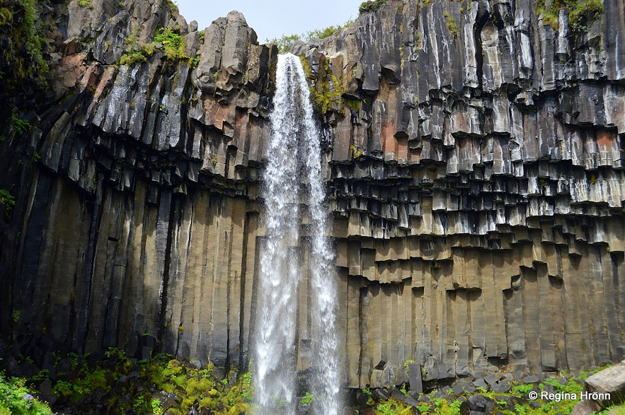 Svartifoss waterfall Skaftafell South-Iceland