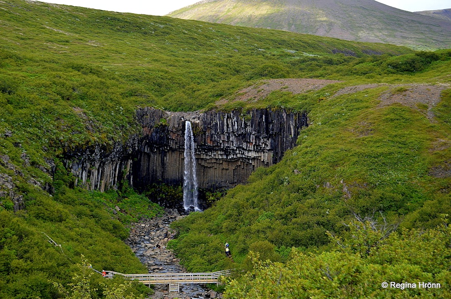 Svartifoss waterfall in Skaftafell, south Iceland
