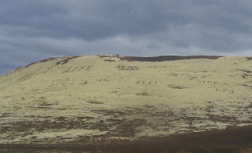 Beschädigtes Moos in Island braucht Jahre, um sich zu erholen.