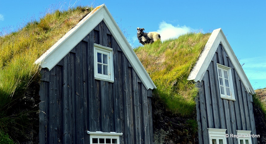 Þverá turf house N-Iceland