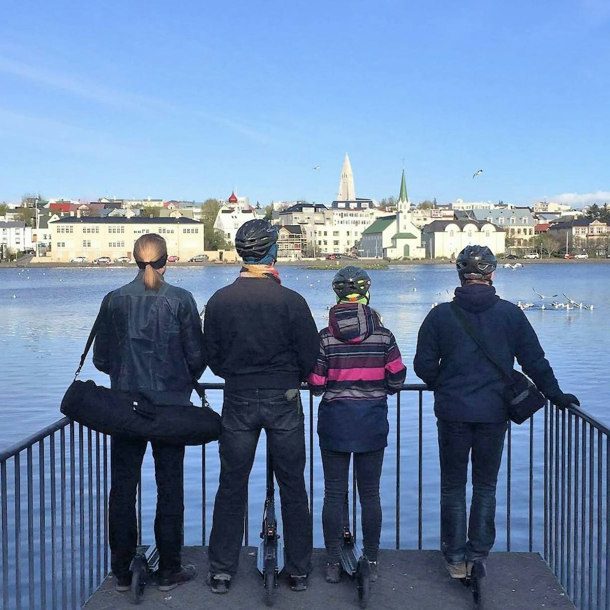 Reykjavik Electric Scooter Sightseeing Tour | Guide to Ic...