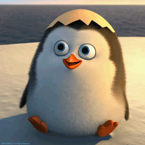 -Hello-penguins-of-madagascar-37800672-500-500.gif