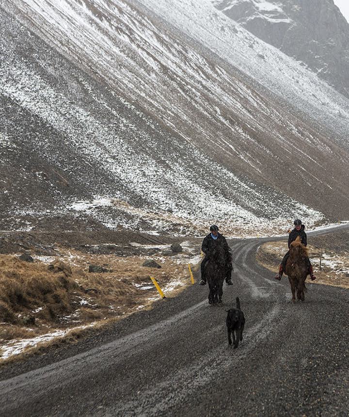 겨울철 아이슬란드 산악 도로에서 말을 타는 사람들