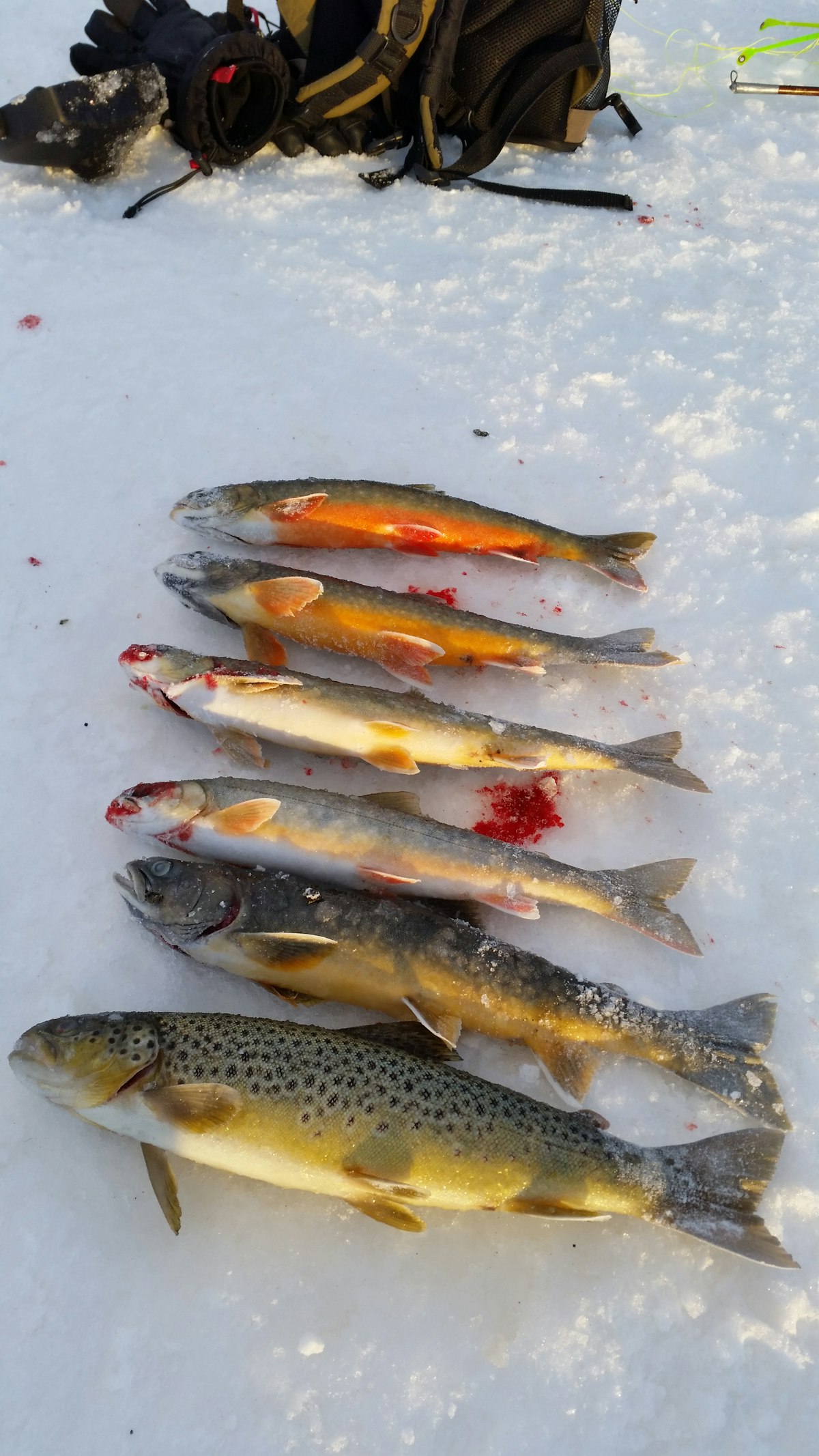 Unique 6-hour Ice Fishing Tour In North Iceland From Akureyri 