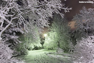 レイキャビク市のロイガルダル地域。雪が積もると魔法がかかったよう。