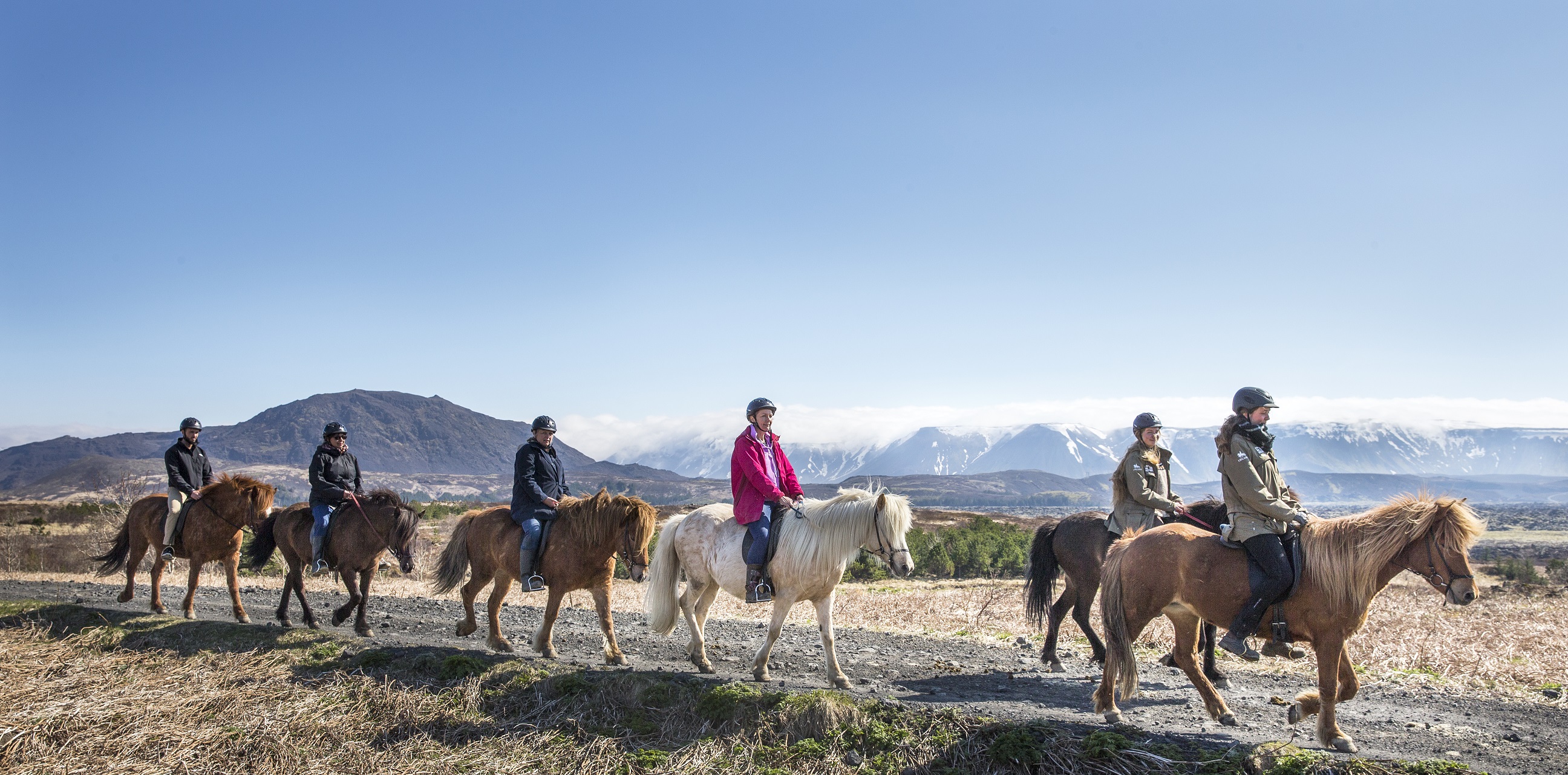 icelandic horse riding tour in lava fields